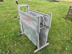 Bateman Calf Dehorning Crate