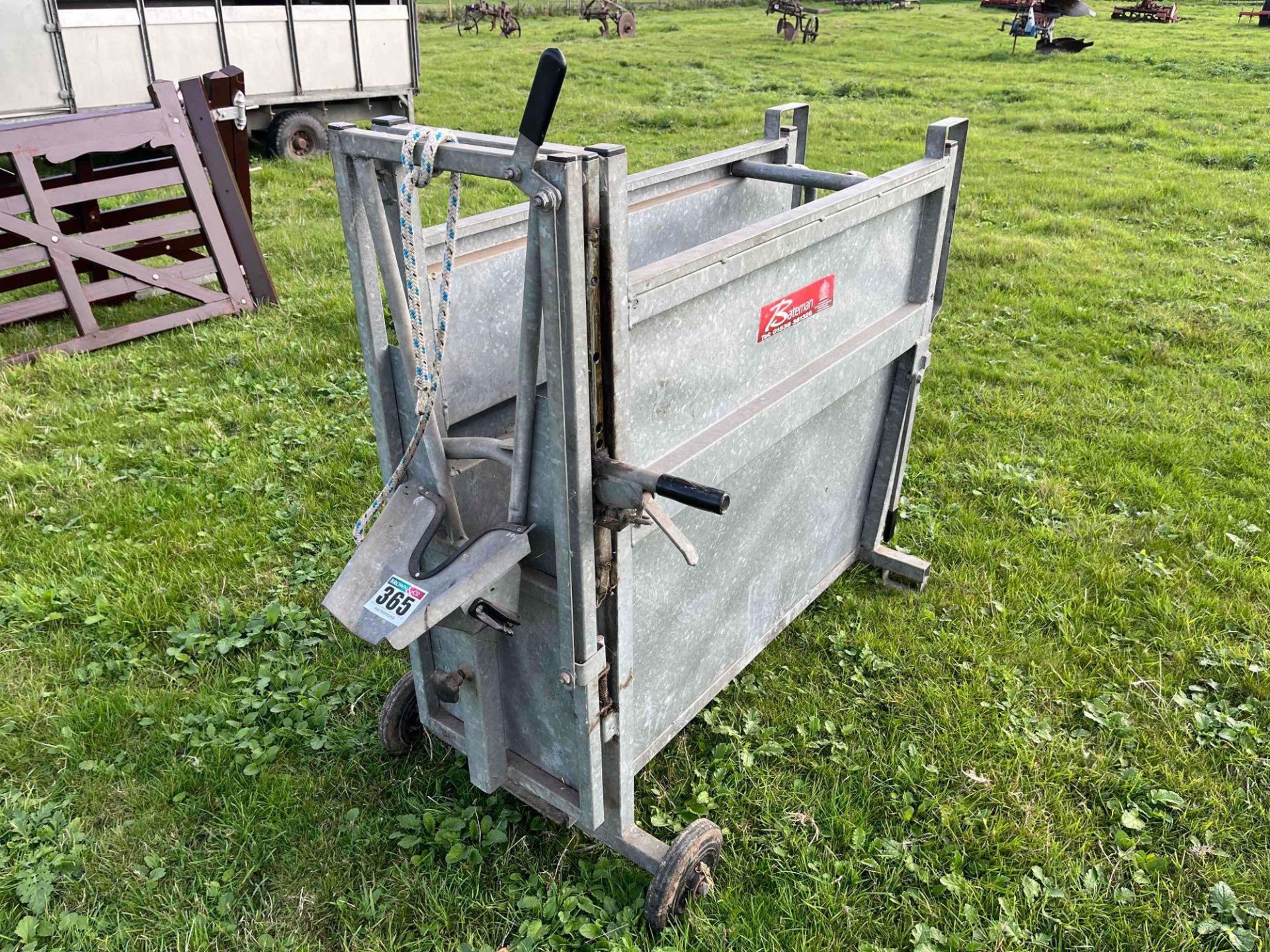 Bateman Calf Dehorning Crate - Image 4 of 4