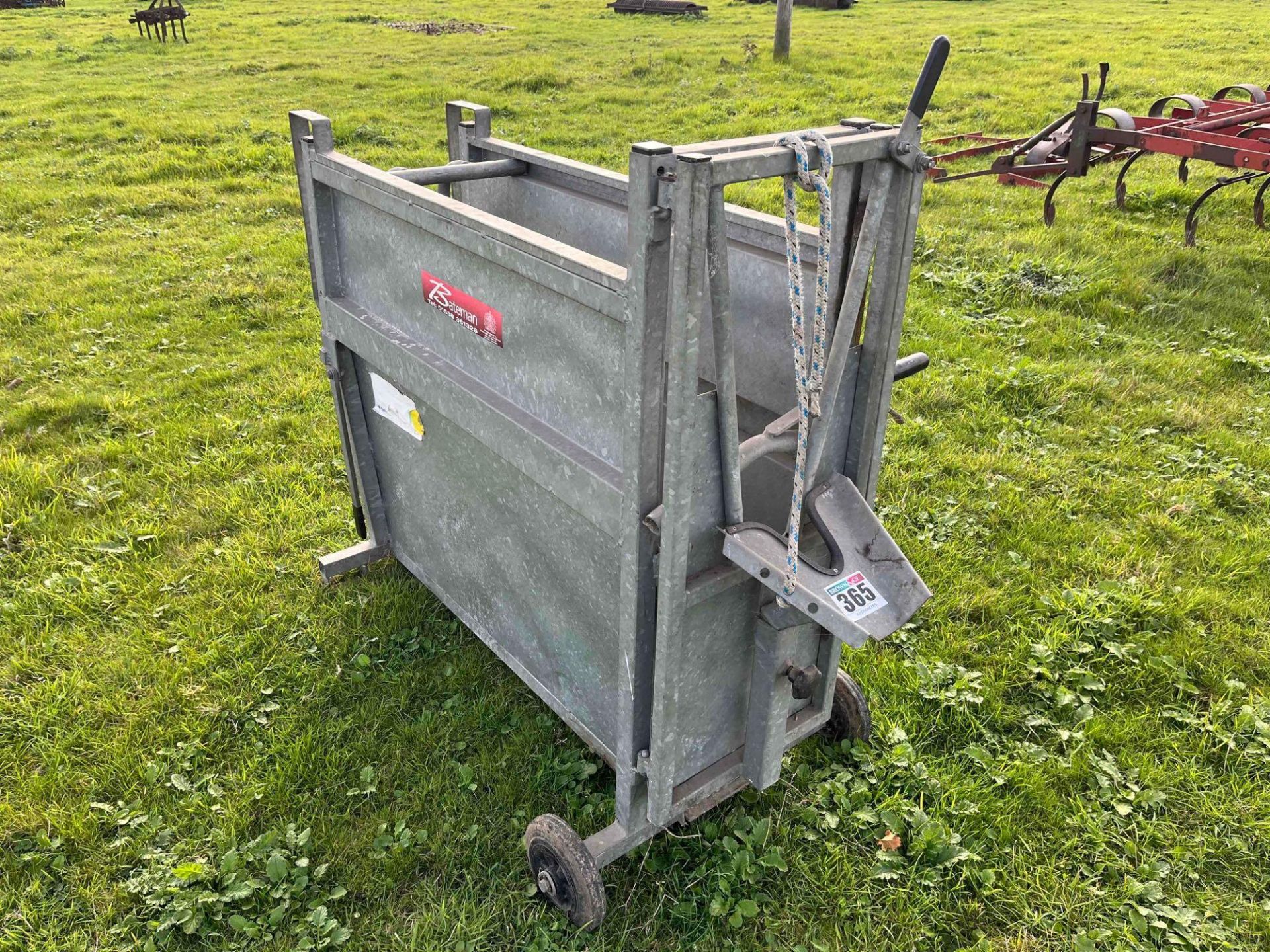 Bateman Calf Dehorning Crate - Image 3 of 4