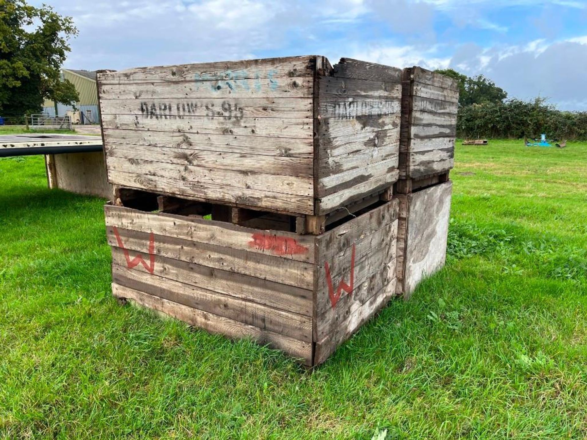 Qty Potato Boxes