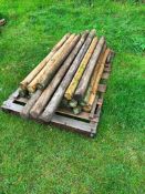 Qty Fencing Posts