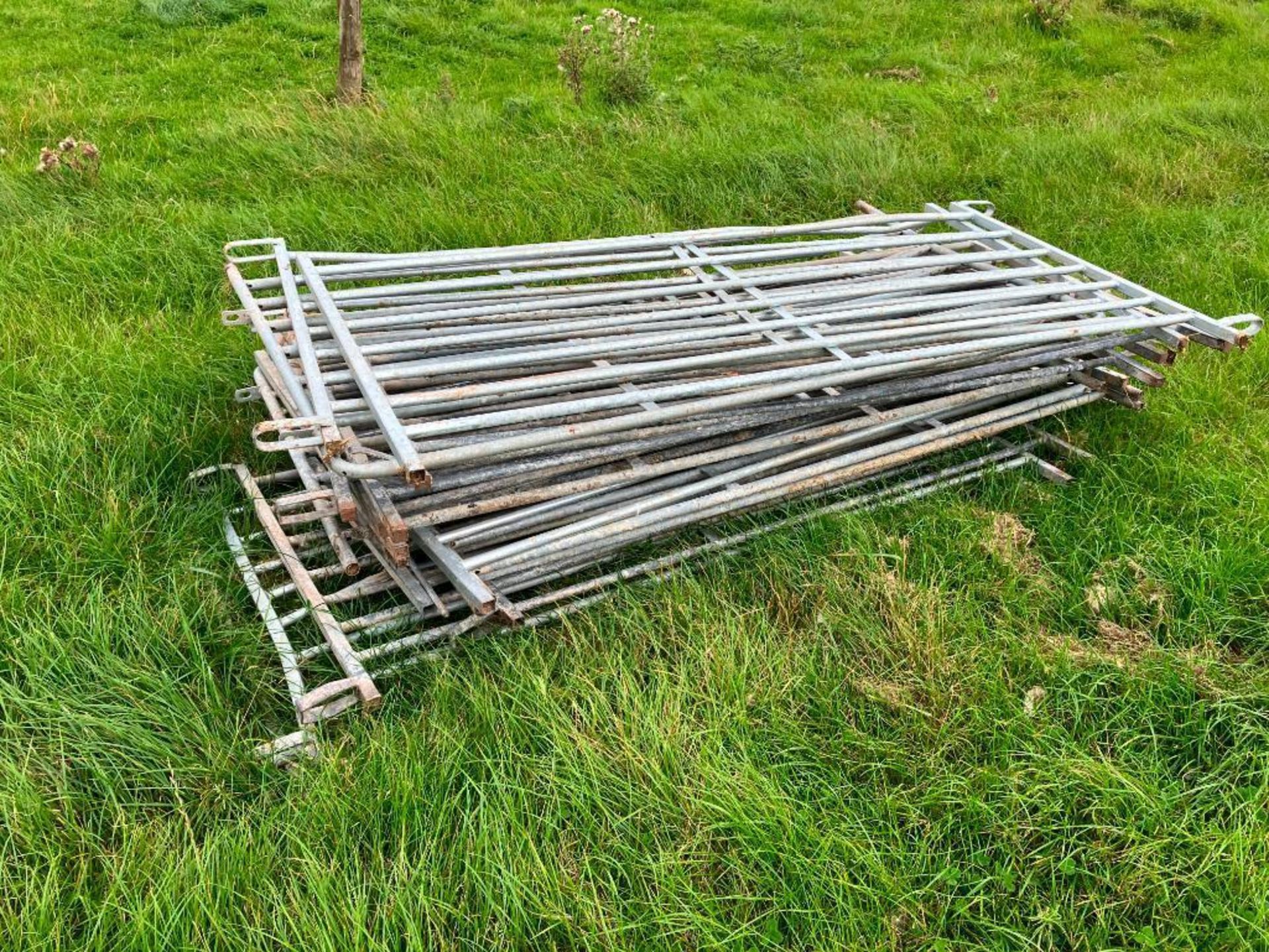 Quantity 6ft galvanised sheep hurdles - Image 2 of 2