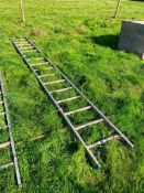 Galvanised ladder