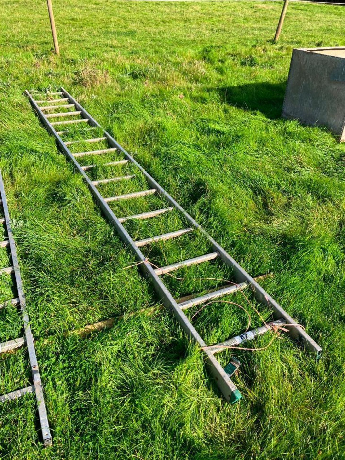Galvanised ladder