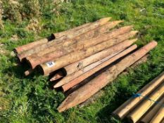 Quantity timber posts