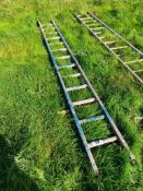 Galvanised ladder