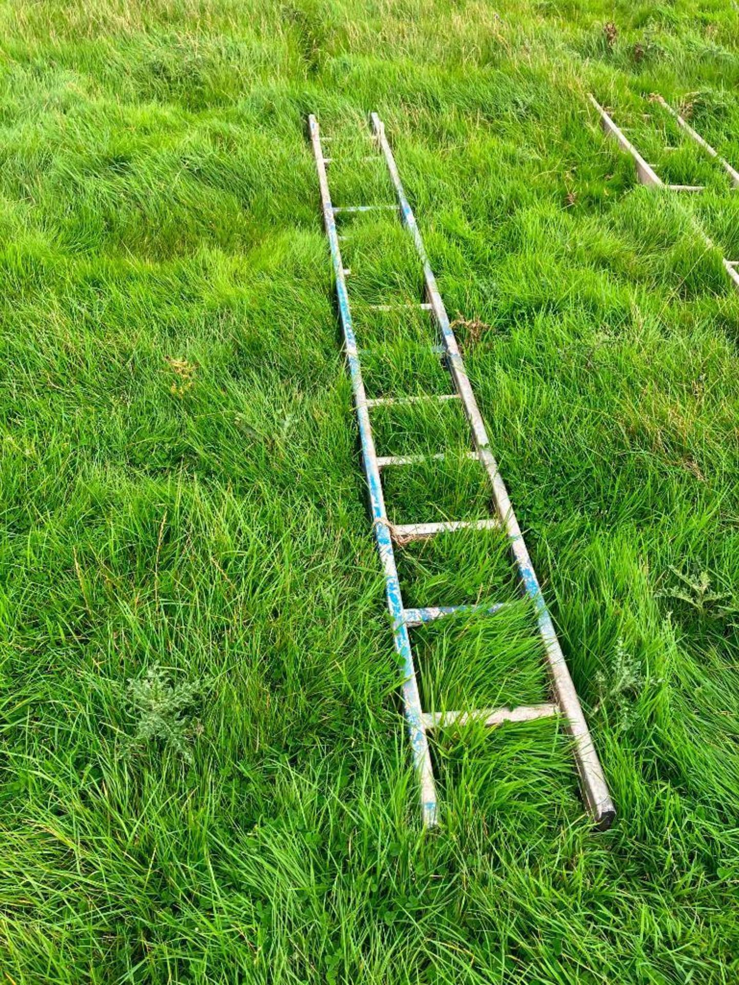 Galvanised ladder - Image 2 of 2