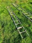 Galvanised ladder