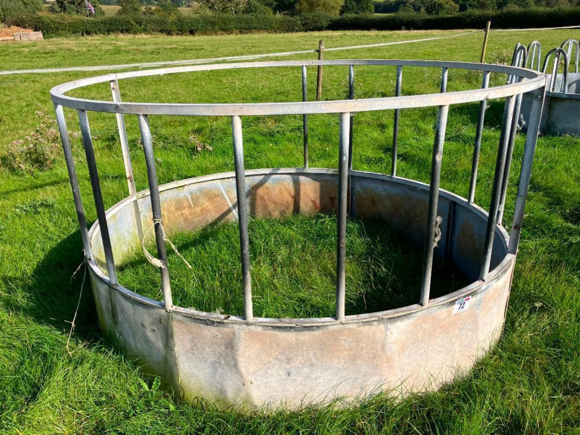 Cattle galvanised ring feeder