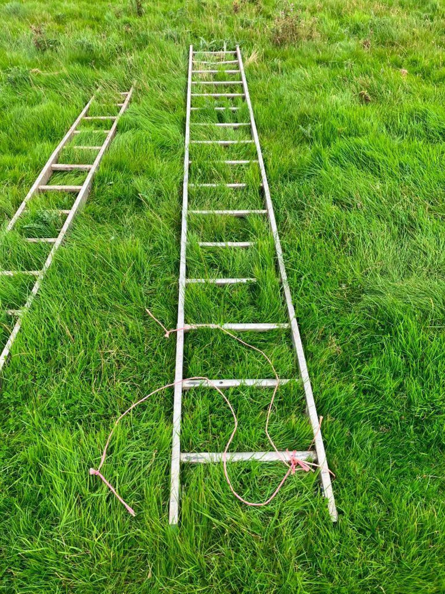 Galvanised ladder - Image 2 of 2