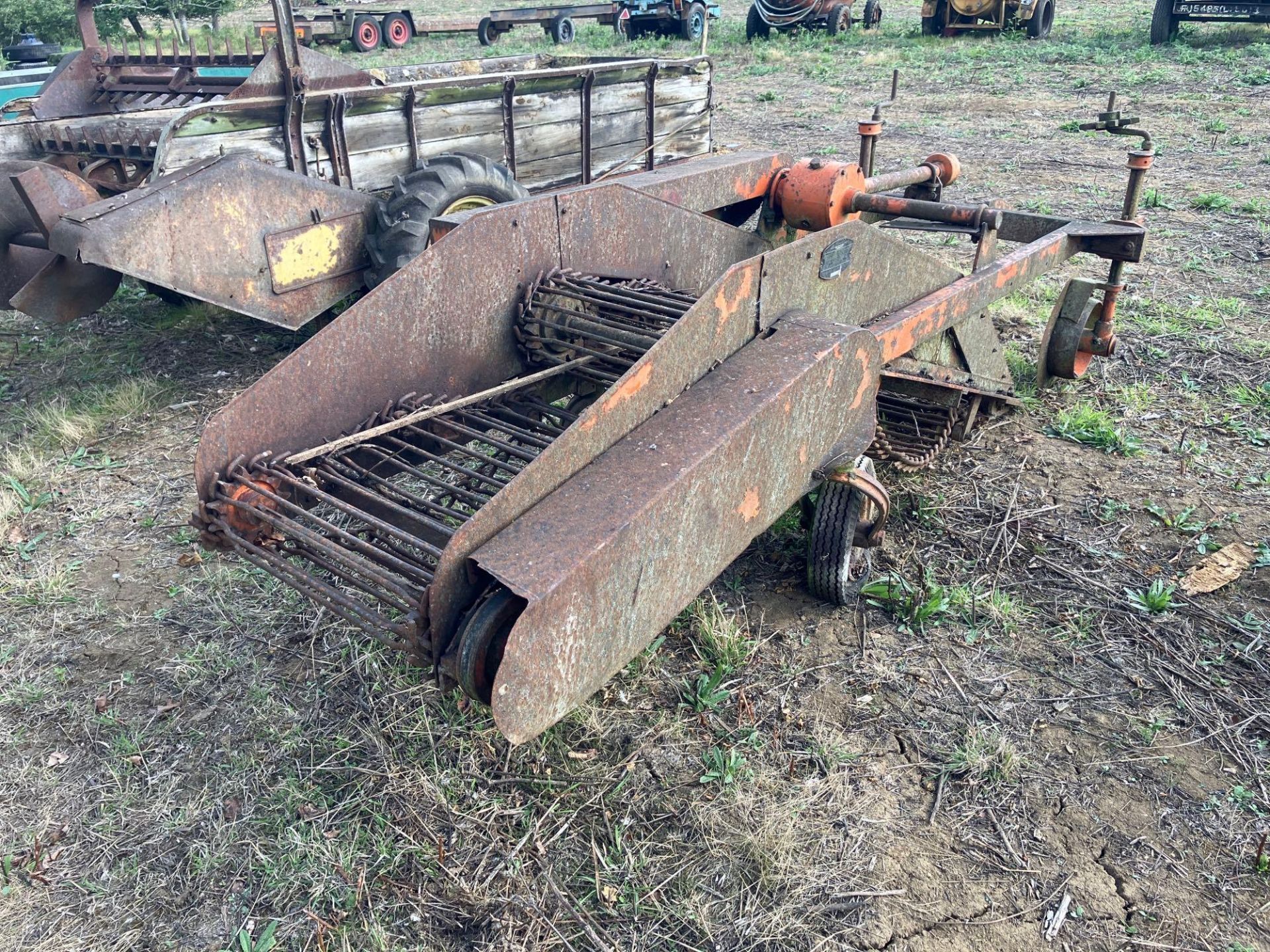 Single row potato hoover - Image 4 of 5