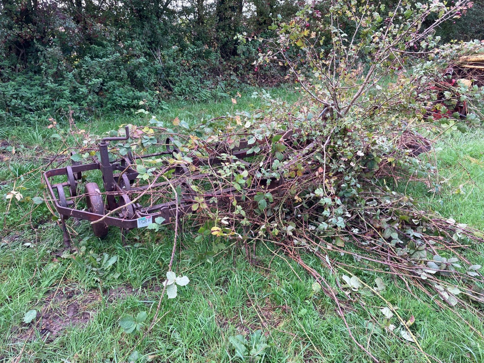 Spring tine cultivator, linkage mounted