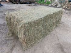 Quantity of 2023 large square 6-string, meadow hay - approx. 35 bales. To be sold on a per bale basi