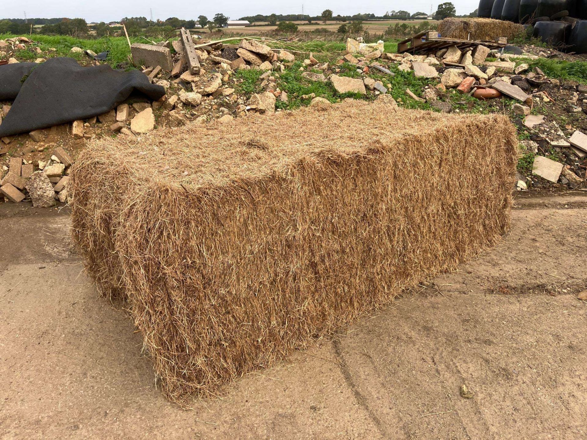 Quantity of 2023 large square 6-string, red clover mix hay - approx. 32 bales. To be sold on a per b