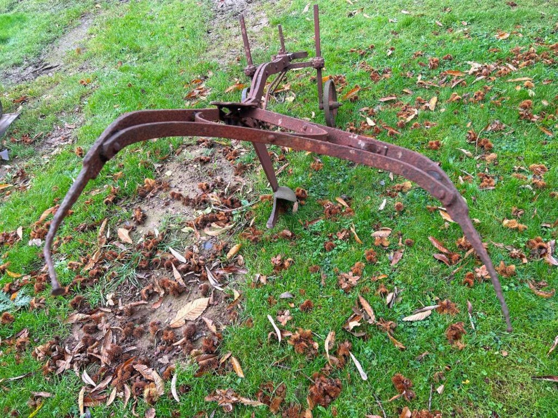 Bedford Plough horse drawn super beet lifter - Image 3 of 4