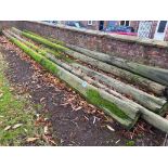 8No telegraph poles - various lengths up to 9.6m