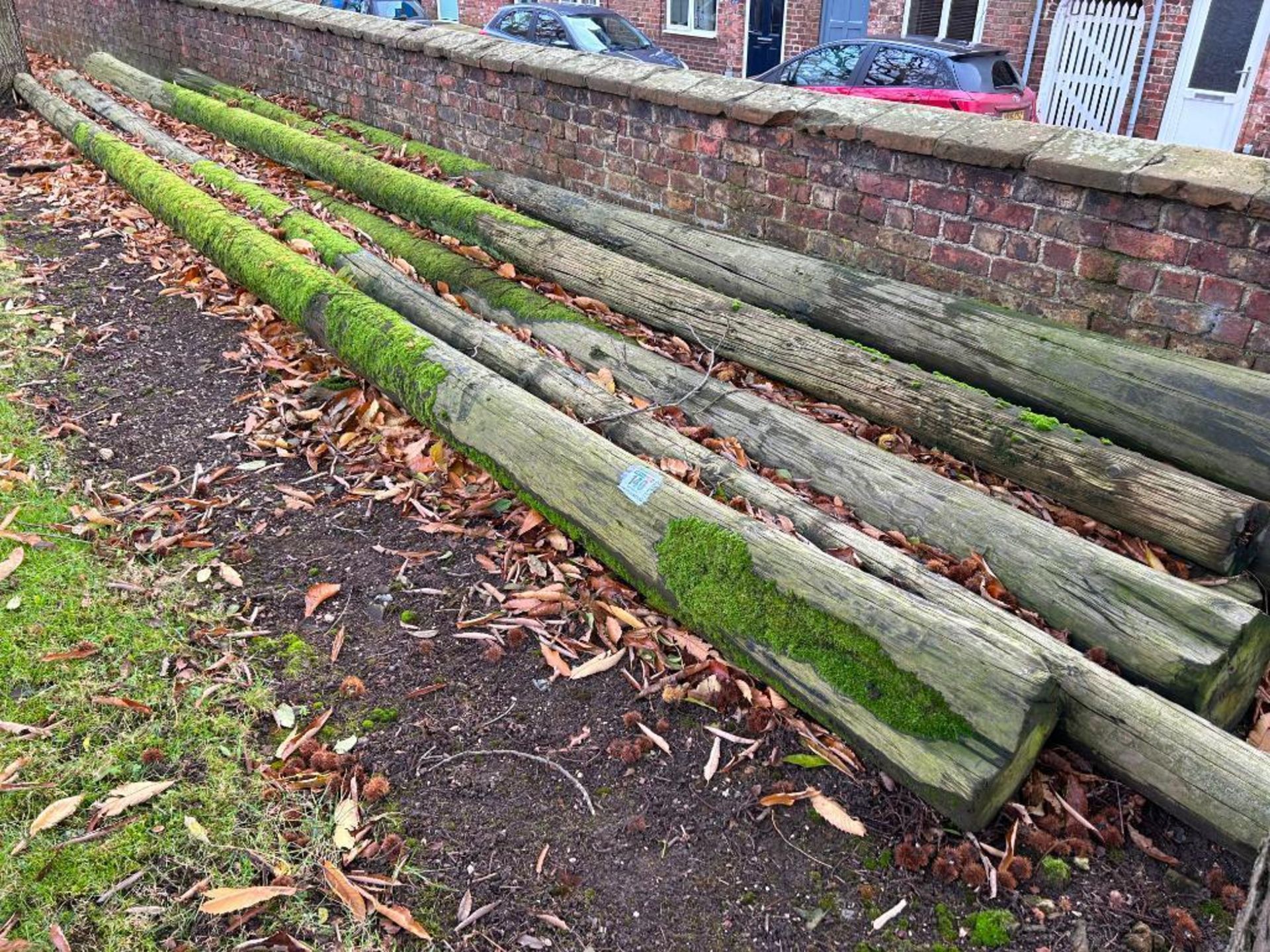 8No telegraph poles - various lengths up to 9.6m