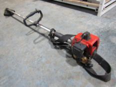 Robin Petrol Strimmer