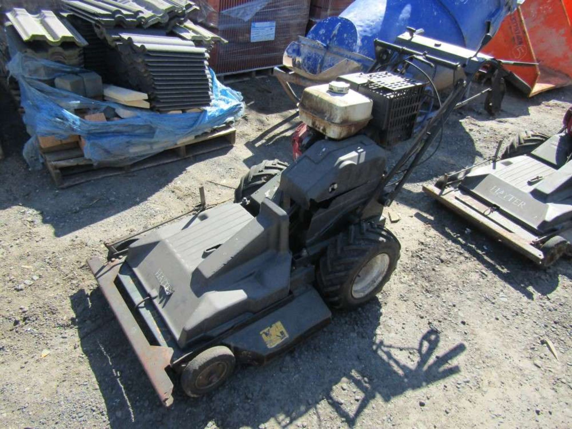 Hayter Condor Rotary Pedestrian Mower (Direct Council)