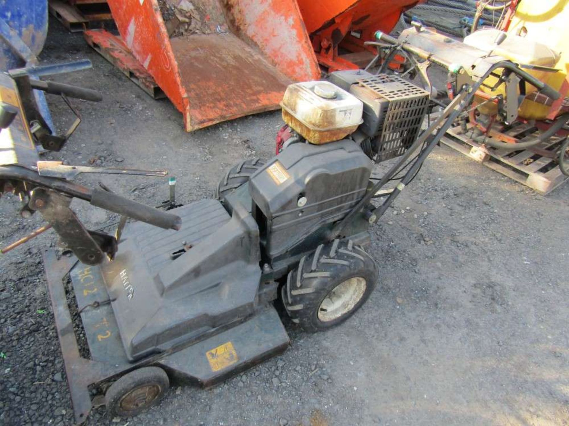 Hayter Condor Rotary Pedestrian Mower (Direct Council)