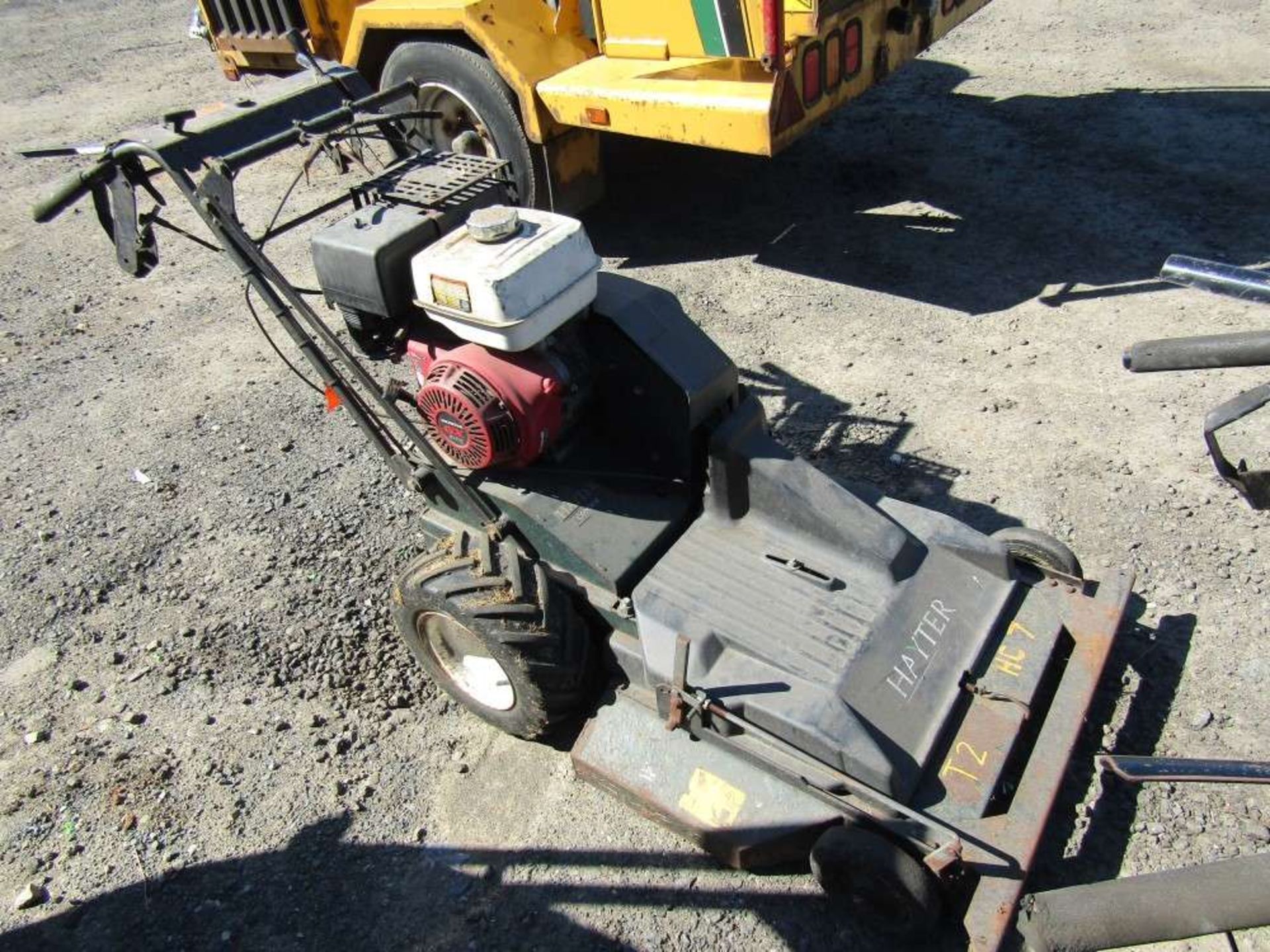 Hayter Condor Rotary Pedestrian Mower (Direct Council)