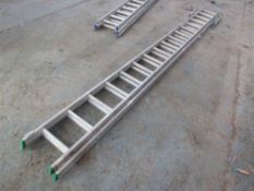 Double Ladder (Direct Hire Co)