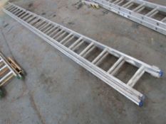 Double Ladder (Direct Hire co)