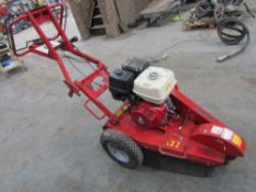 Petrol Tree Stump Grinder (Direct Hire Co)