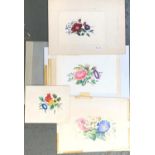 Four 19th century floral watercolour studies, the largest 23x17cm