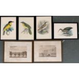 Four ornithological prints, three after J Smith, 22.5x15cm, together with 2 prints, one of