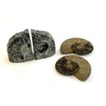 A pair of fossil bookends; together with a polished bisected ammonite fossil