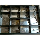 A small display case containing a large quantity of small ammonite fossils