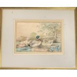 Charles Whymper (1853-1941), study of mallards, watercolour heightened in white, 19x27.5cm Bears