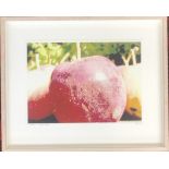 J Stevens, photoart on watercolour paper, 'Crab Apple', signed and dated 2006, numbered 1/25,