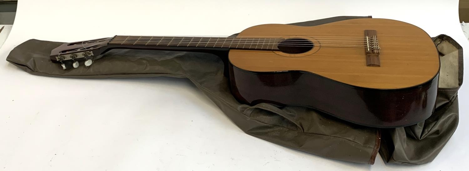 A Hertz German classical guitar in soft case