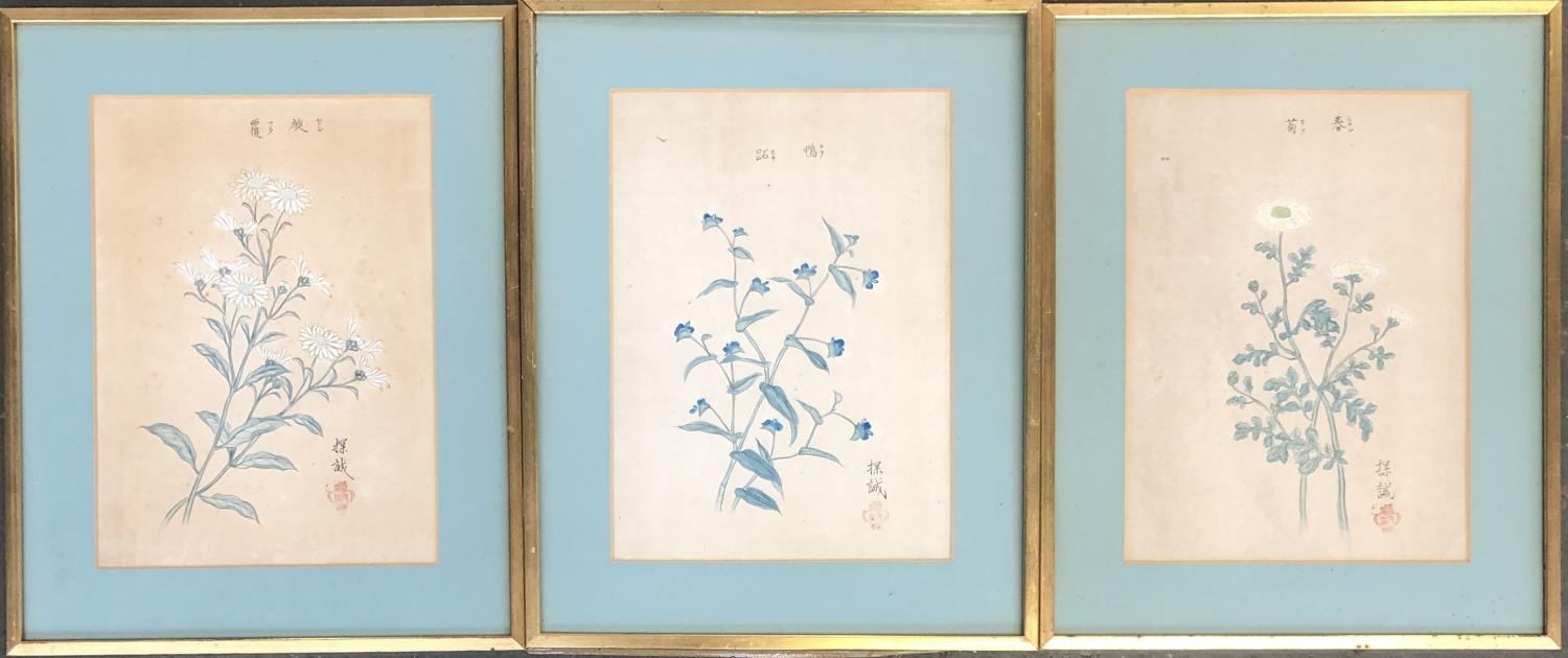 A set of 3 Chinese watercolours on paper, floral studies, each 32x23cm