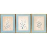 A set of 3 Chinese watercolours on paper, floral studies, each 32x23cm