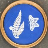 Two framed pieces of bobbin lace, fern and a butterfly mounted on a blue background, overall