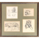 Beryl Newman (Trist) (1906 1991), four animal studies, each signed, mounted in on frame