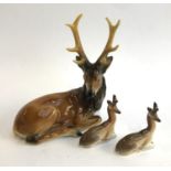 A pair of Lomonosov recumbent deer figurines; together with an AA porcelain stag
