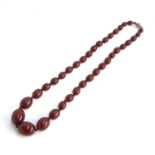 A cherry amber bakelite graduated bead necklace, knotted, the largest bead 2cm long, overall 54cm