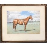 M Finlayson, 'Dandy', watercolour study of a chestnut horse, signed and dated 1946, 23x32.5cm