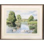 Tom Purvis, 20th century watercolour, ducks on a river, signed and dated 1990, 40x54cm