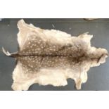 A fallow deer skin rug, 145cmL