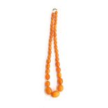 An amber bead necklace, the 37 beads graduated, the largest bead approx. 3.6cm wide, the smallest