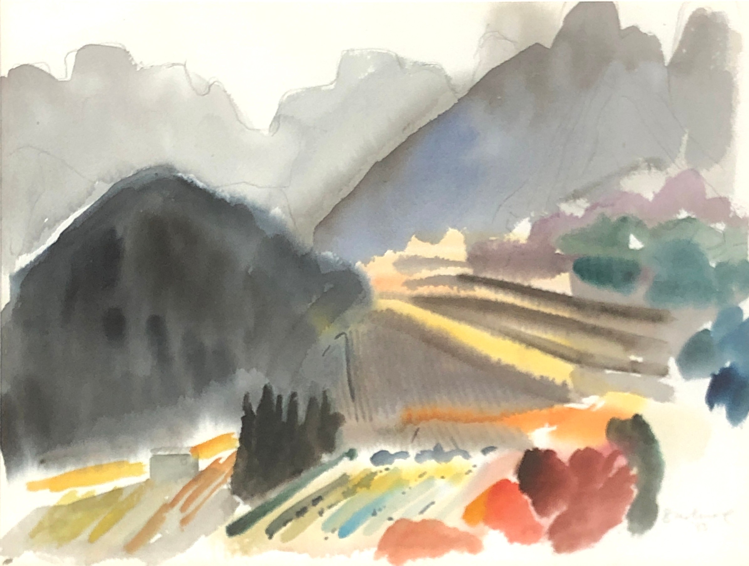 Clive Blackmore (b.1940), 'Vineyards and Mountains Autumn Provence', watercolour, signed and dated