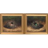 20th century British, a pair of oils depicting bird nests, each signed B Holb, each 24.5x29cm