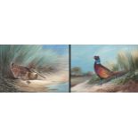 John Baxendale (1919-1982), a pair of ornithological watercolours, cock pheasant and woodcock,