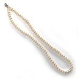 A Teng Yue single strand pearl necklace, 46cm long unclasped