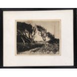 Sir Francis George Newbolt (1863-1940), Landscape with trees, etching, signed and inscribed R.A